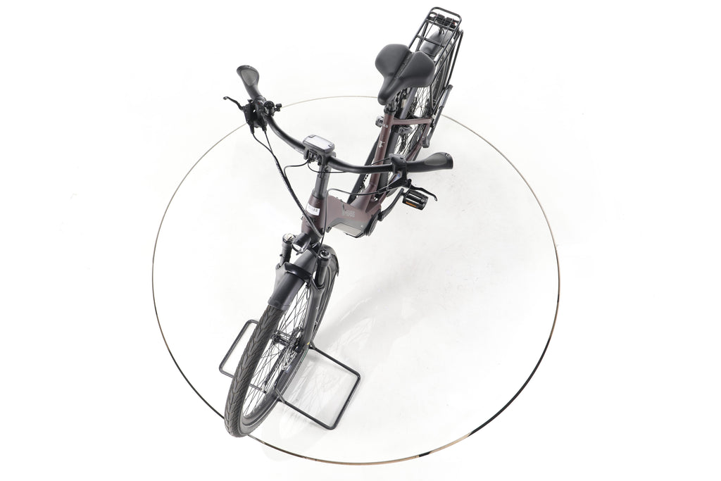 Pegasus Strong EVO 10 Lite Trekking E-Bike Tiefeinsteiger - Image 17