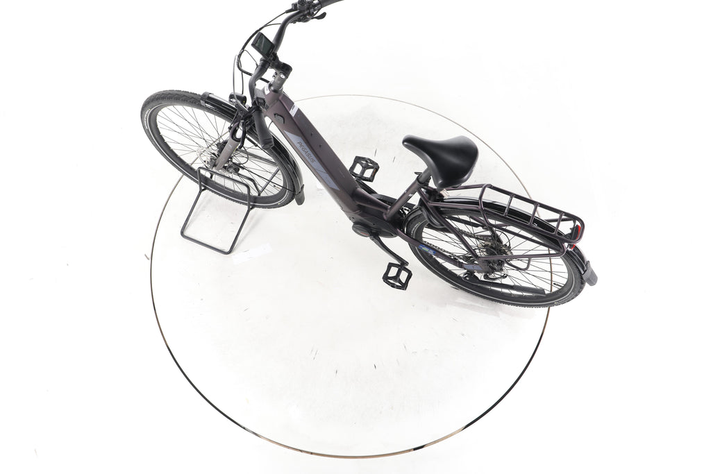 Pegasus Solero Evo 9 Trekking E-Bike Tiefeinsteiger 2024 - Image 20
