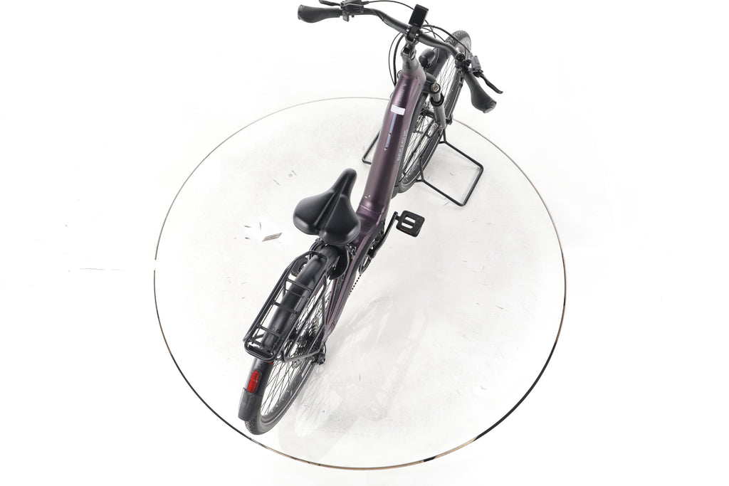 Pegasus Premio EVO 11 "40 Years" Trekking E-Bike Tiefeinsteiger - Image 23