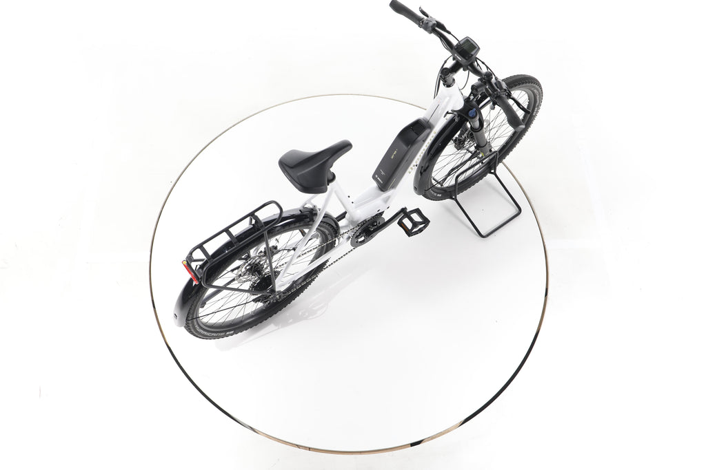 Diamant Zing+ Gen 1 Trekking E-Bike Tiefeinsteiger - Image 24